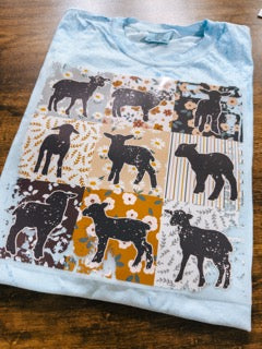 Boho Sheep Farm