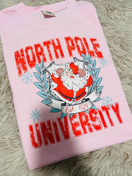 NORTH POLE UNIVERSITY -- TEE SHIRT